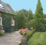 Photo of campsite