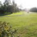 Photo of campsite