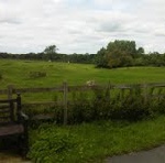 Photo of campsite